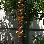 Casa Rustica Com Jardim Privado تافيرا