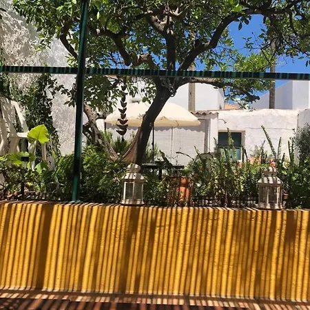 Casa Rustica Com Jardim Privado