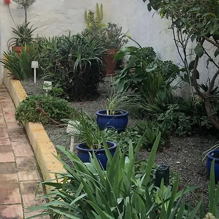 Casa Rustica Com Jardim Privado
