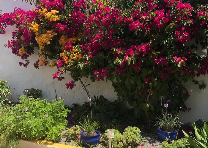 Casa Rustica Com Jardim Privado Tavira