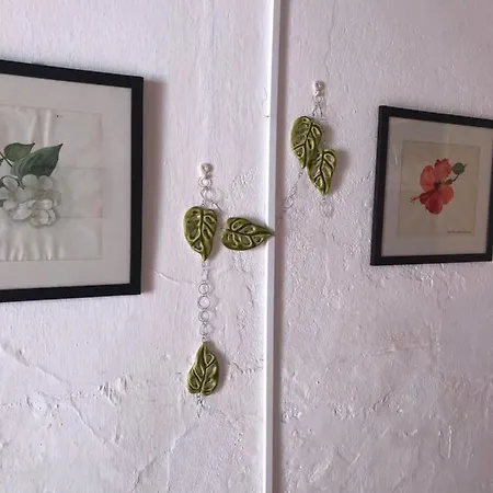 Casa Rustica Com Jardim Privado Appartement Tavira