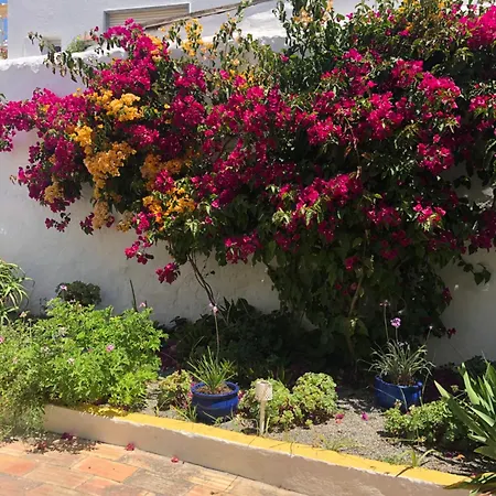 Casa Rustica Com Jardim Privado 타비라