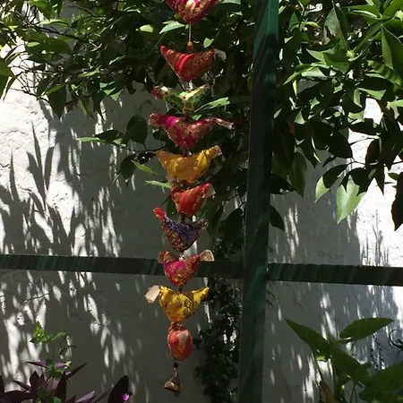Casa Rustica Com Jardim Privado Tavira