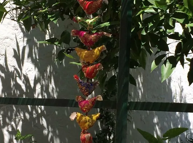 Casa Rustica Com Jardim Privado Tavira