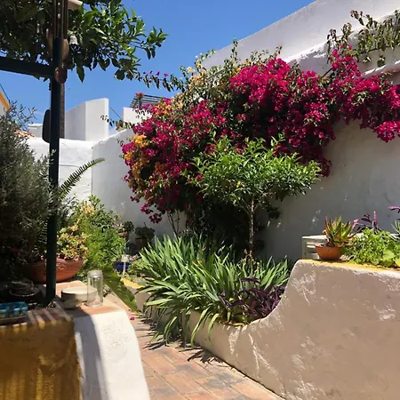 Casa Rustica Com Jardim Privado