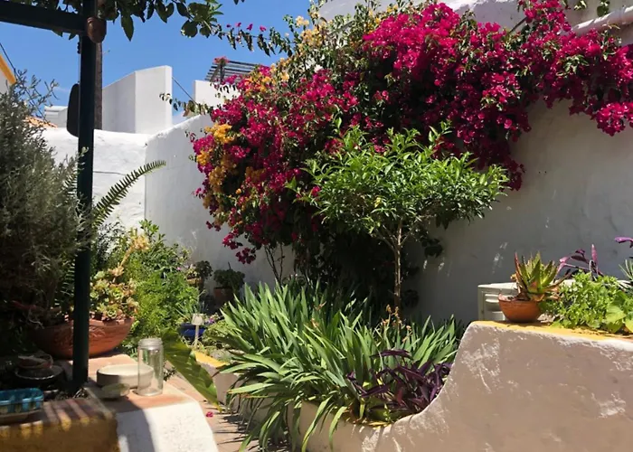 Casa Rustica Com Jardim Privado